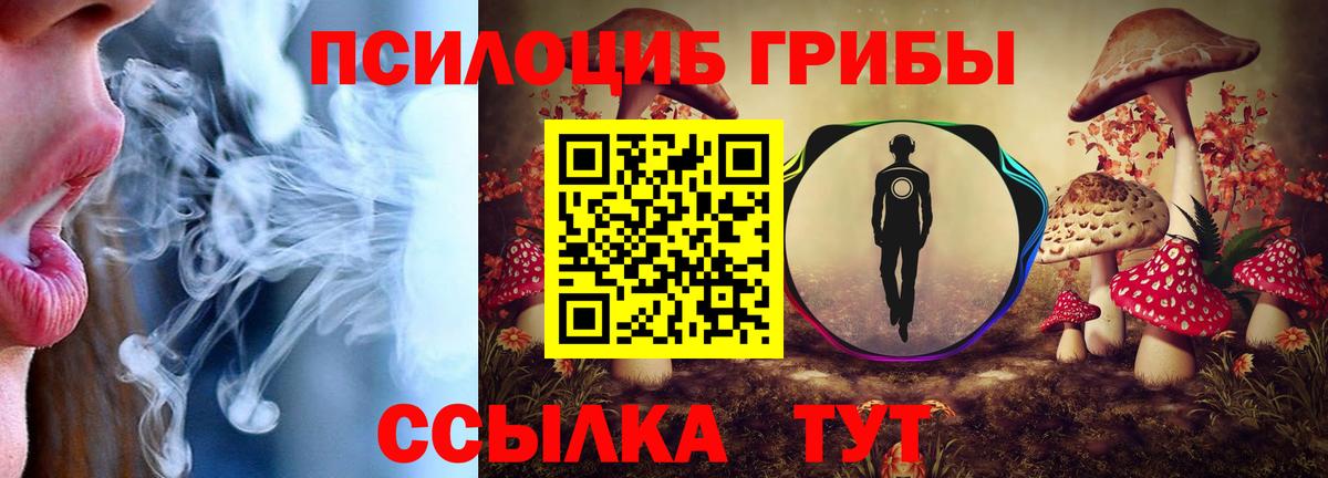 Галлюциногенные грибы Magic Shrooms  Вход с VPN  Галлюциногенные грибы прущие грибы  Курск 